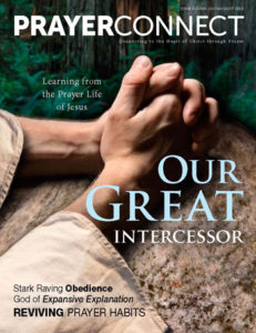 Our Great Intercessor