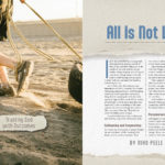 All Is Not Lost
