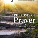 Issue 59 PDF